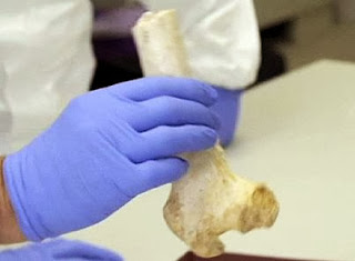 Cientistas encontraram DNA humano de 400 mil anos na Espanha Cientistas encontraram DNA humano de 400 mil anos na Espanha