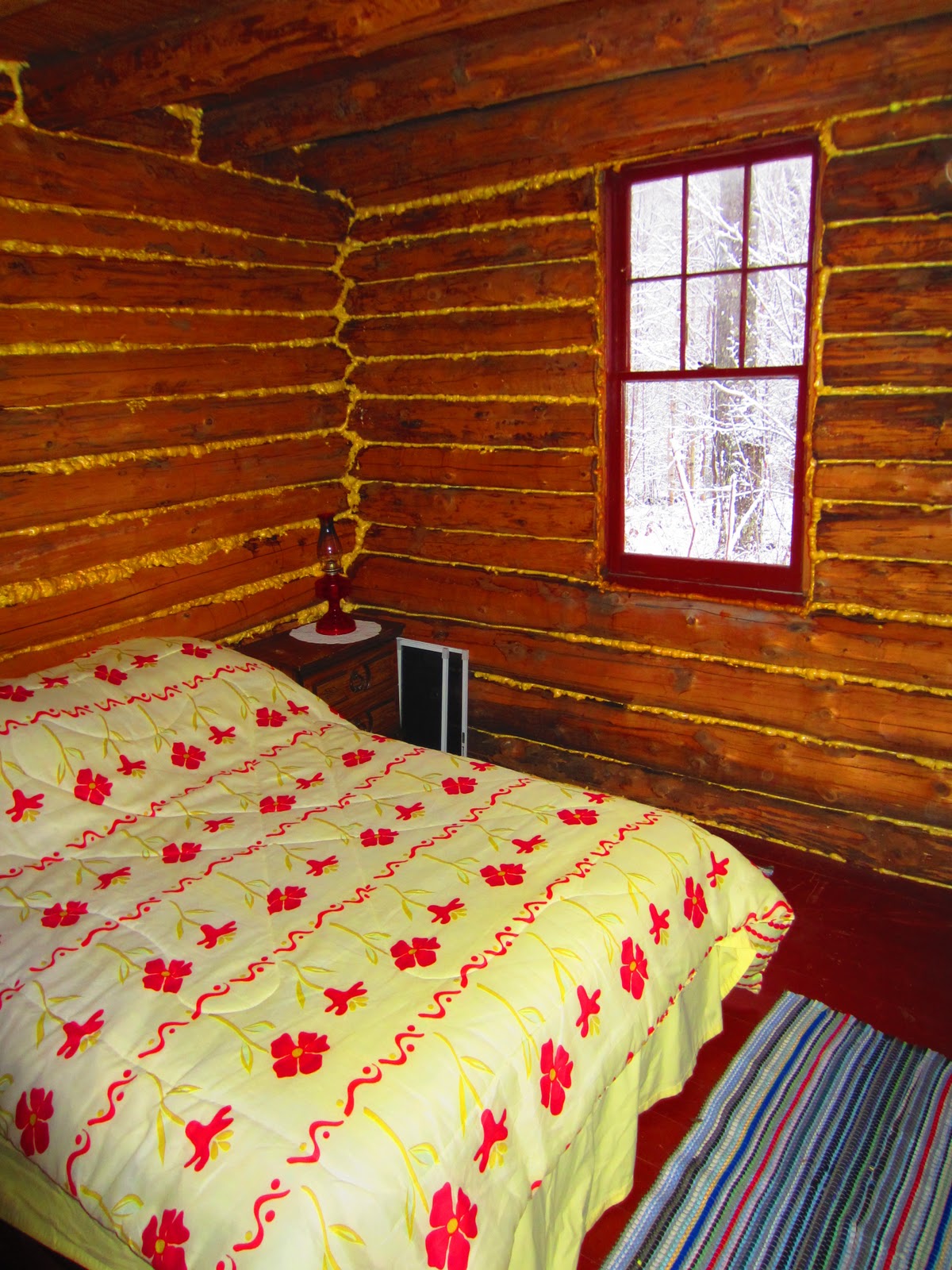 A Log Cabin in Northern Vermont 20' by 20' a tiny