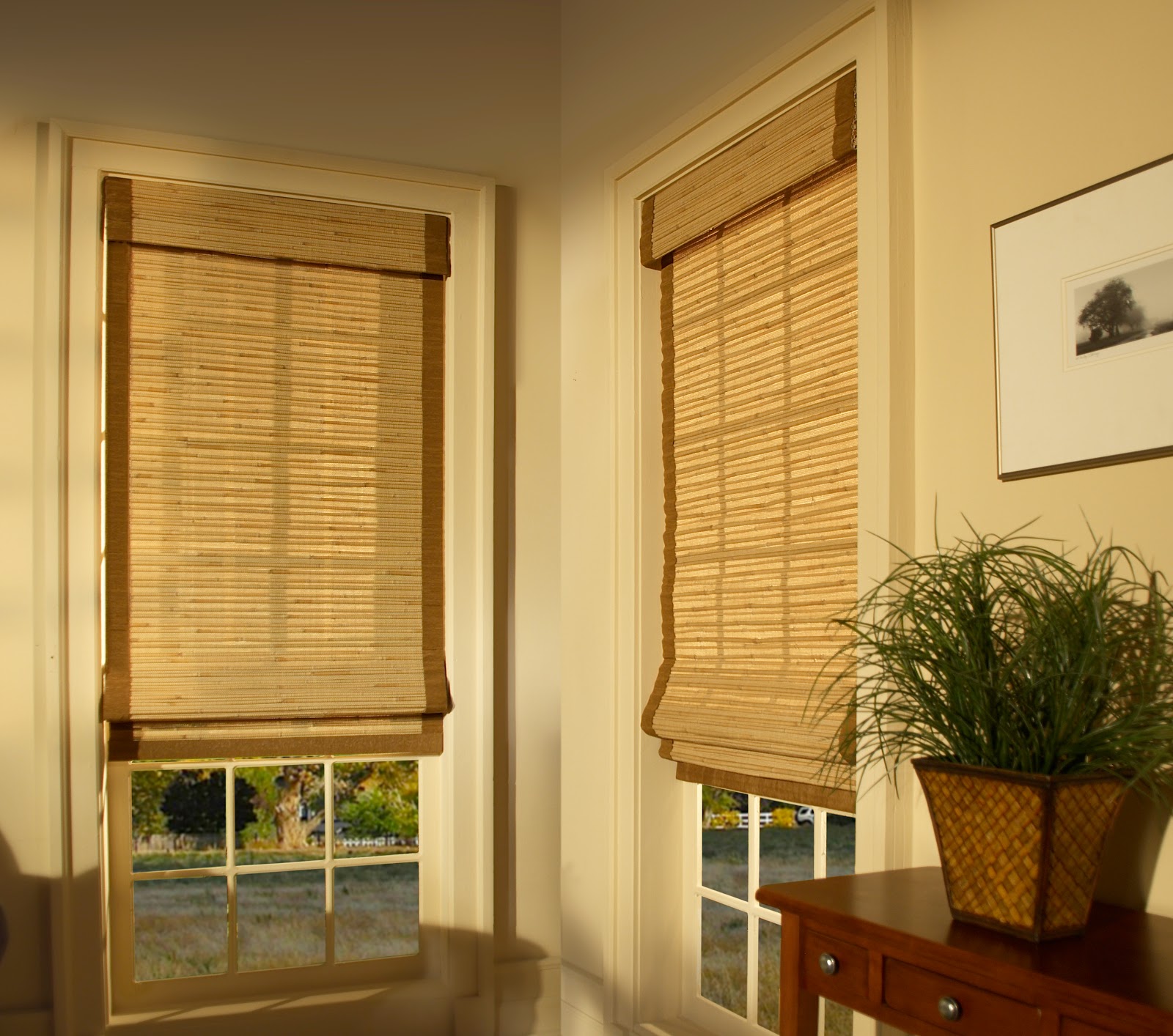 Youngblood Interiors: Clean, Simple Window Treatments: Roman Shades