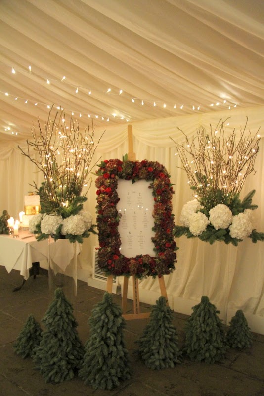 Blossoming Of Red Viburnum Common Stock Photo Image Of Beautiful