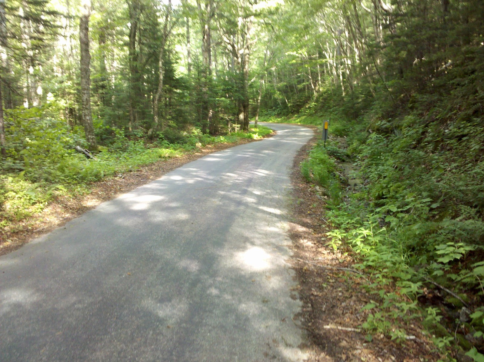 Bike rides around the neighborhood Tripoli Road and Thornton Gap