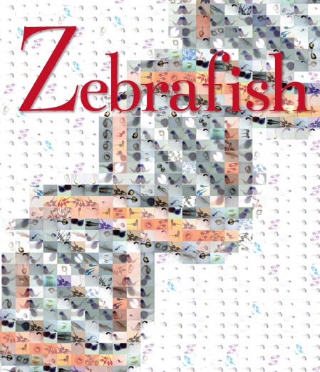 GENOME Research: Wild type Zebrafish: Whole Genome Sequence