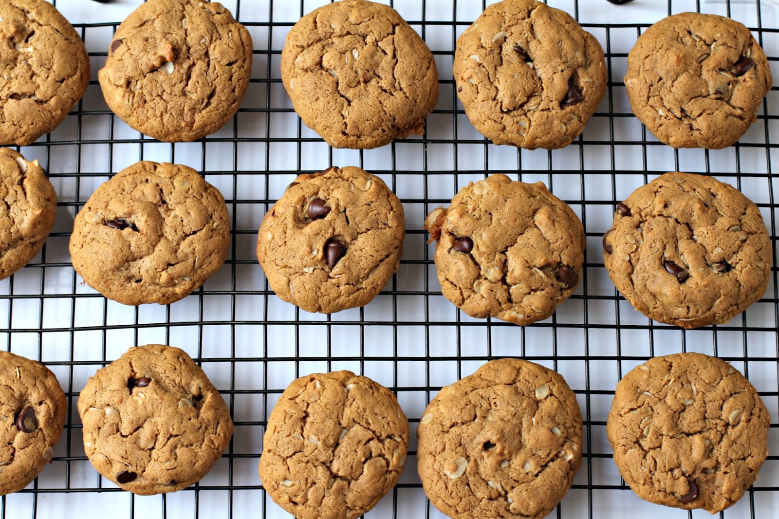 Milk and Honey Peanut Butter Oatmeal Chocolate Chip Cookies (No Flour