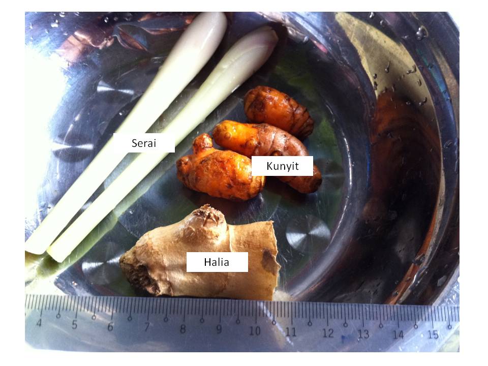 Resepi Ikan Duri Masak Lemak Copd Blog E