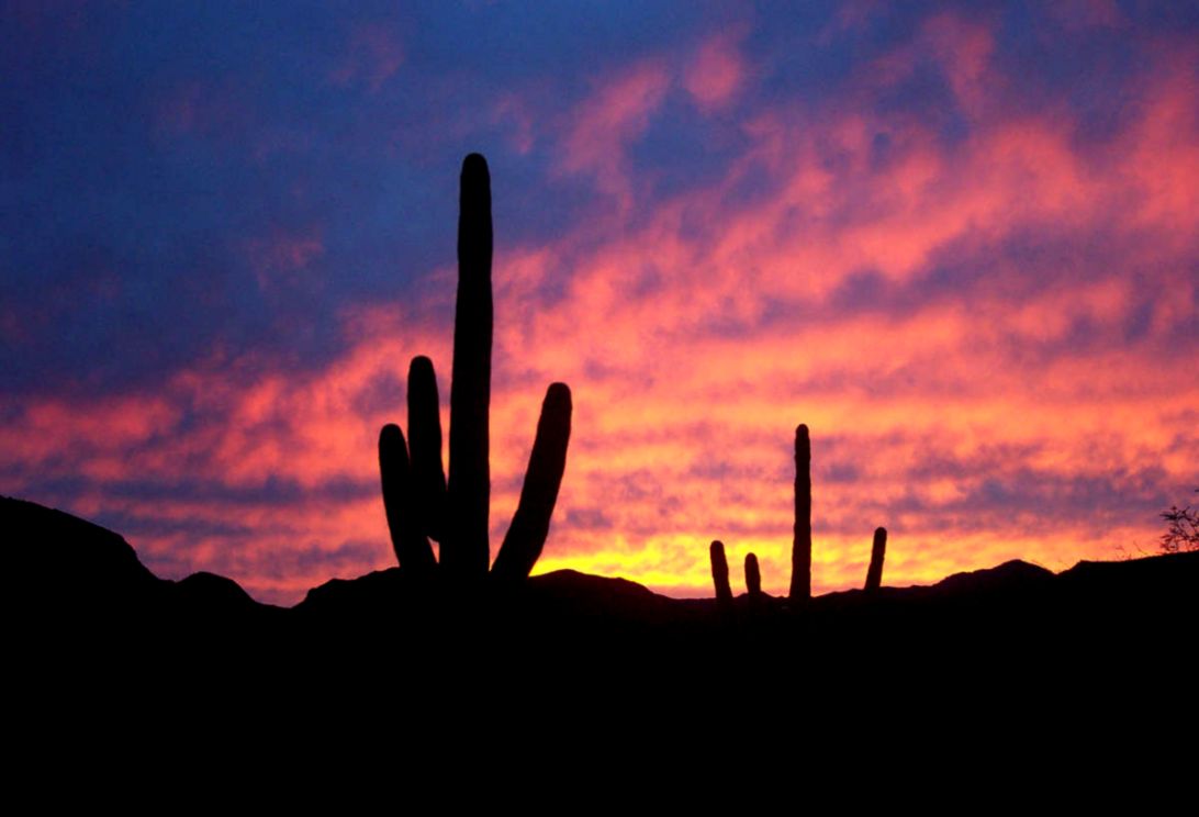 Sonoran Desert HD Pictures Sonoran Desert HD Pictures