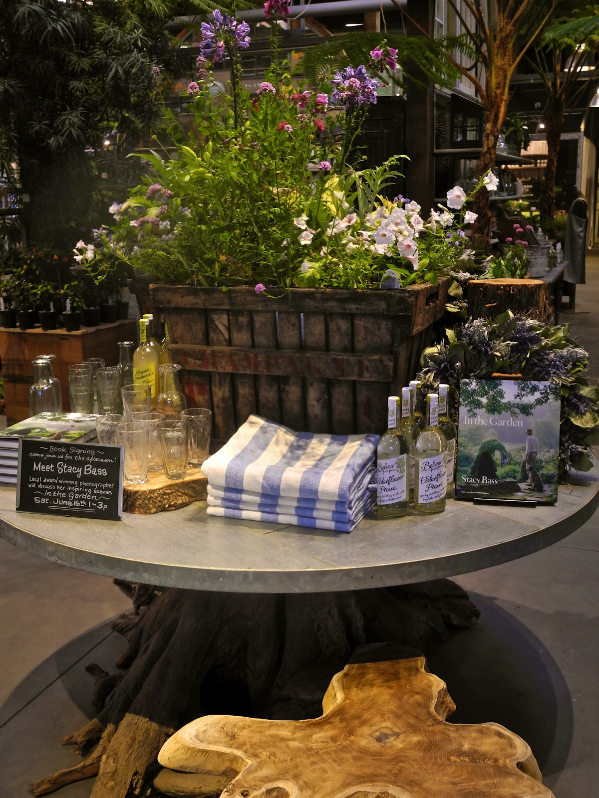 SeaglassSundays Terrain Westport