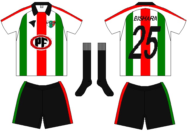 Club Deportivo Palestino