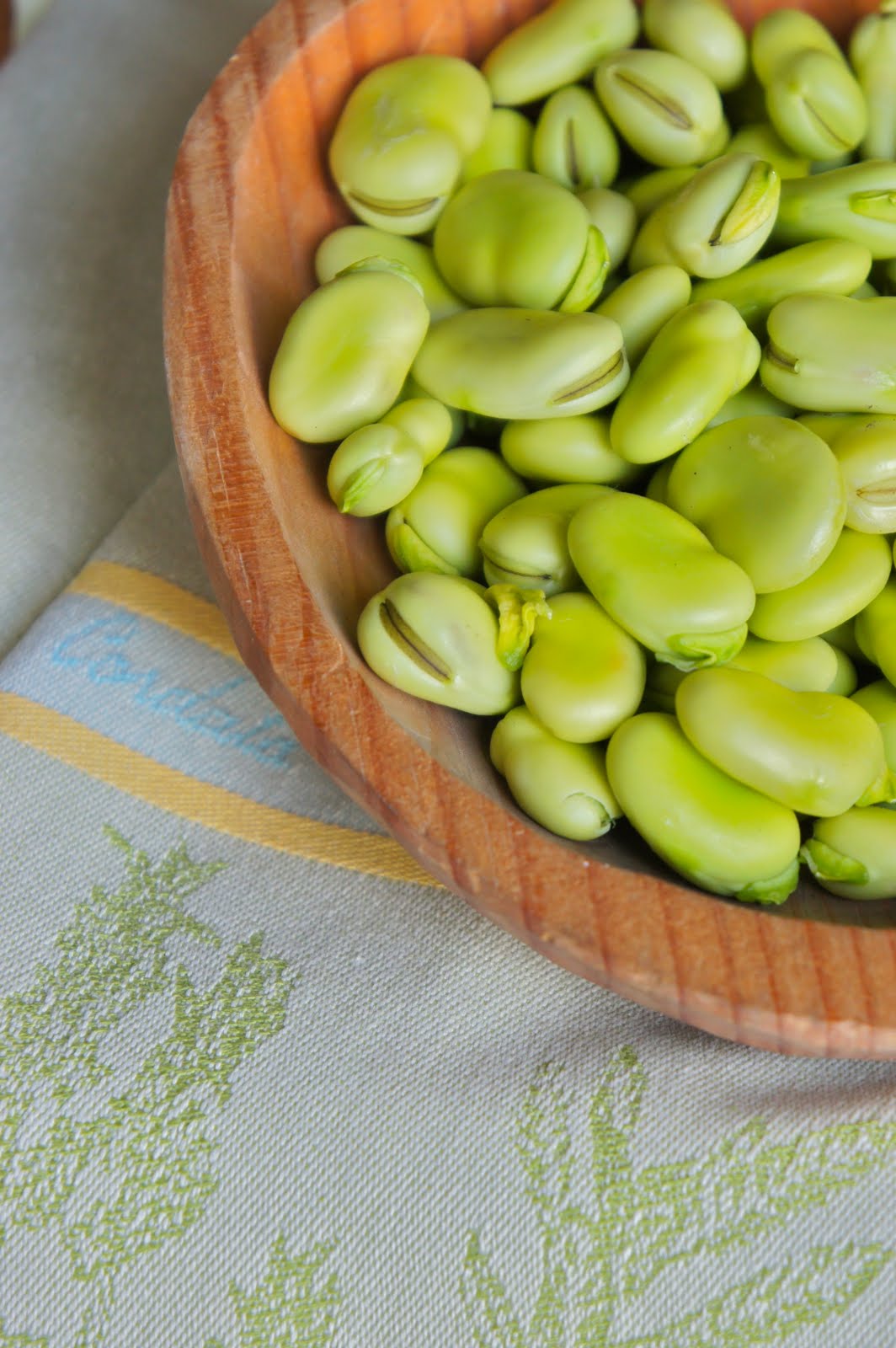 Thyme Fava Bean and Goat Cheese Dip with Radishes