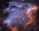 NEBULOSA DEL PELICANO