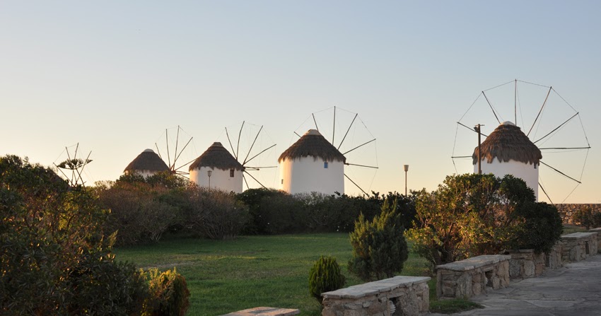 Die Küchenschabe: AUF DER INSEL