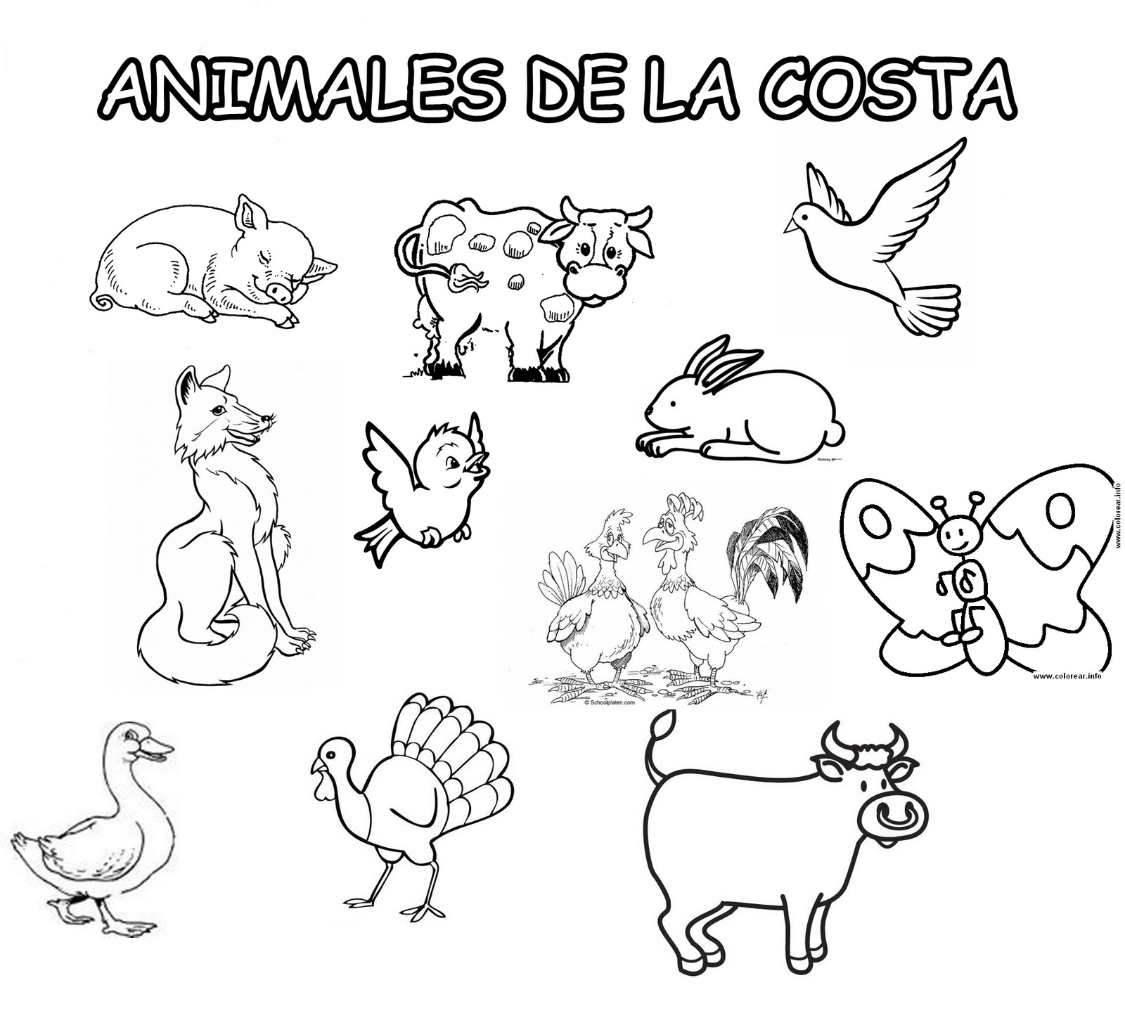 Animales De La Selva Del Peru Para Colorear Imagui