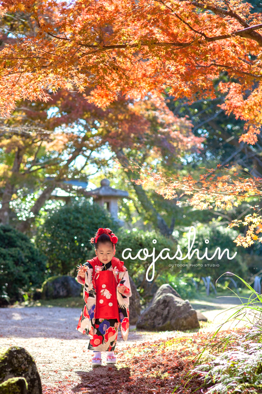 七五三 3歳 写真館 7歳 フォトスタジオ 着物 千葉 前撮り 子供 出張