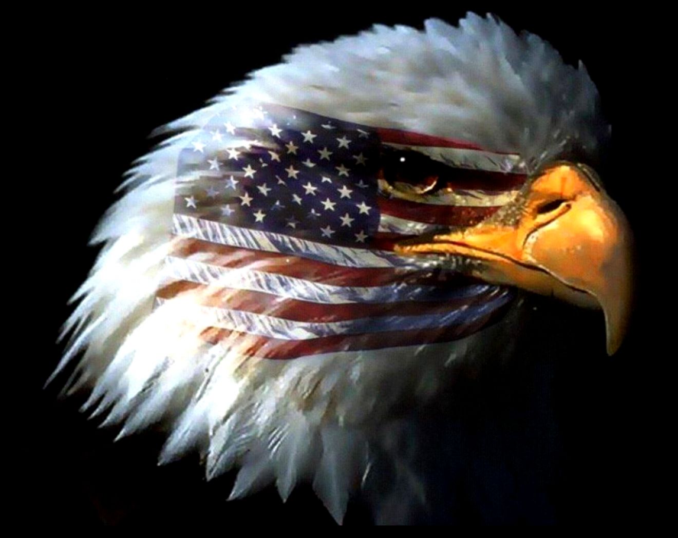 American eagle flag images wallpaper American eagle flag images wallpaper