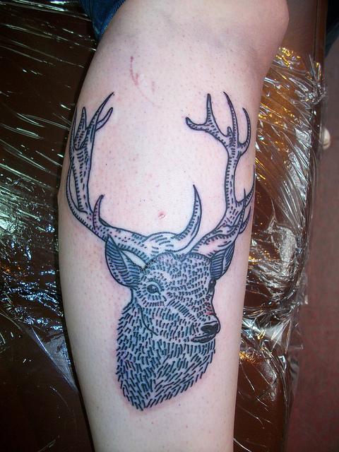 thank god i posted this damn deer tattoo love the style 
