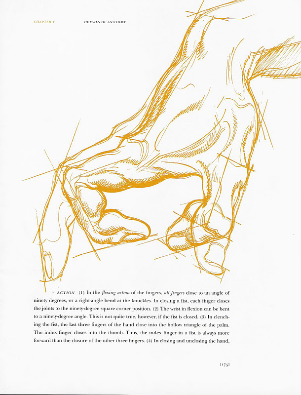 Drawing Dynamic Hands Burne Hogarthpdf - Scribd