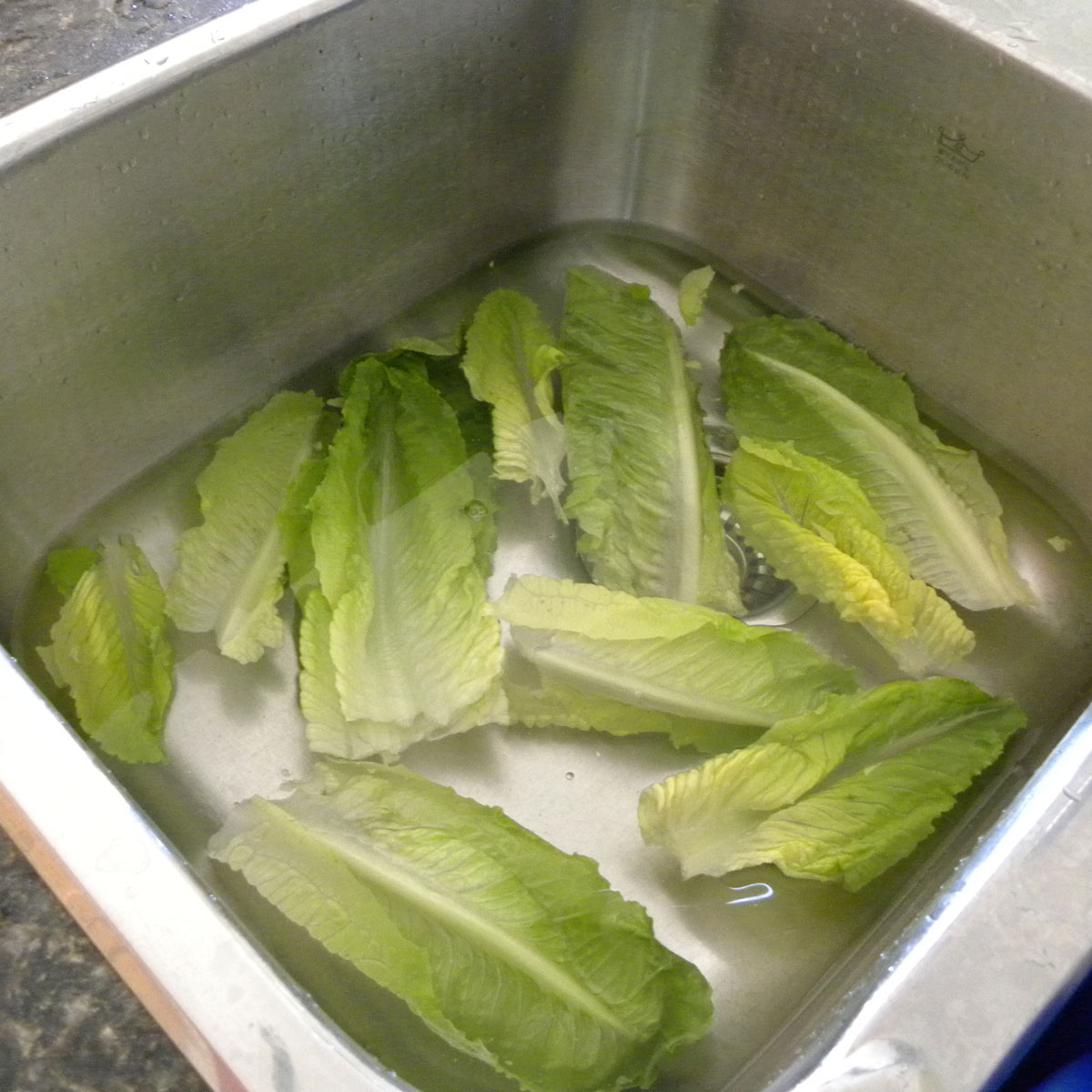 Lettuce Please Recipes For Lemonade