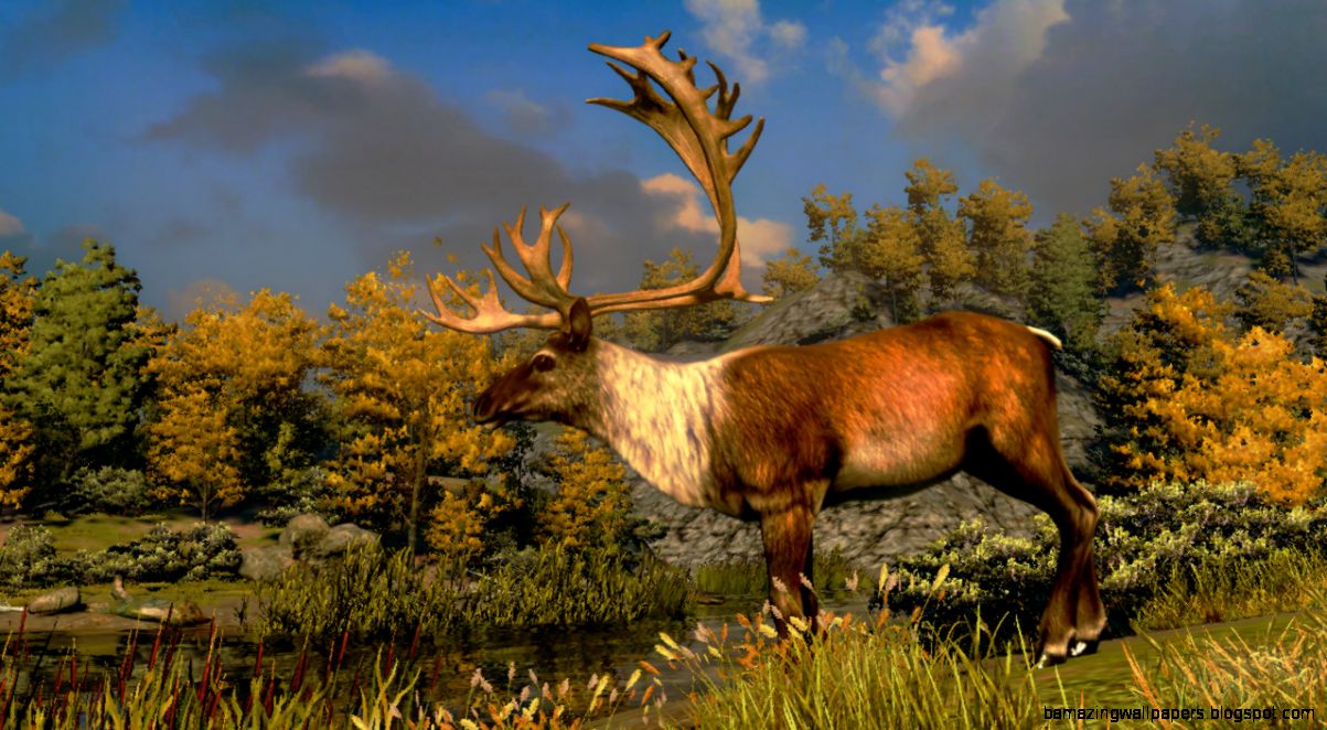 Cabela39s North American Adventures Review Entertainment Fuse Cabela39s North American Adventures Review Entertainment Fuse