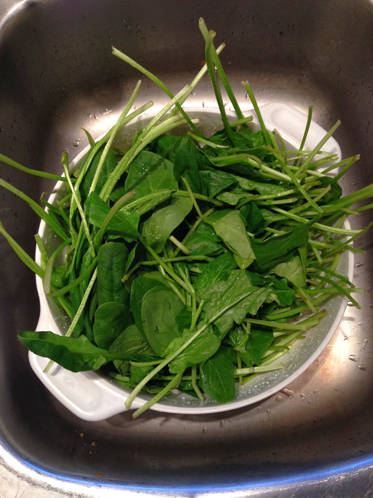 Random thoughts from a stay at home Mom Juicing begins...