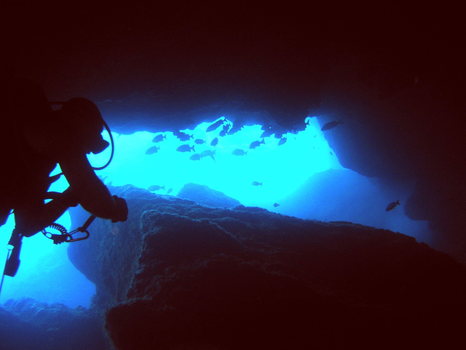 Out and About Thailand Saipan Diving the Grotto