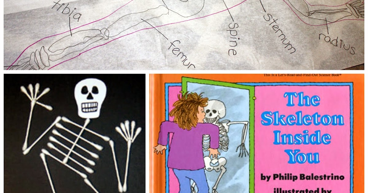 My Homeschooling Journal: Skeleton Lesson Plan for Preschool (includes