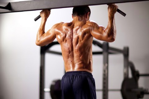 Fight Love And Lift Combine Compound And Isolated Movements For