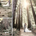 Cásate en un Bosque.