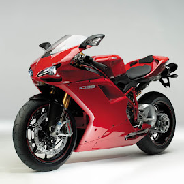 Ducati Motor Sport