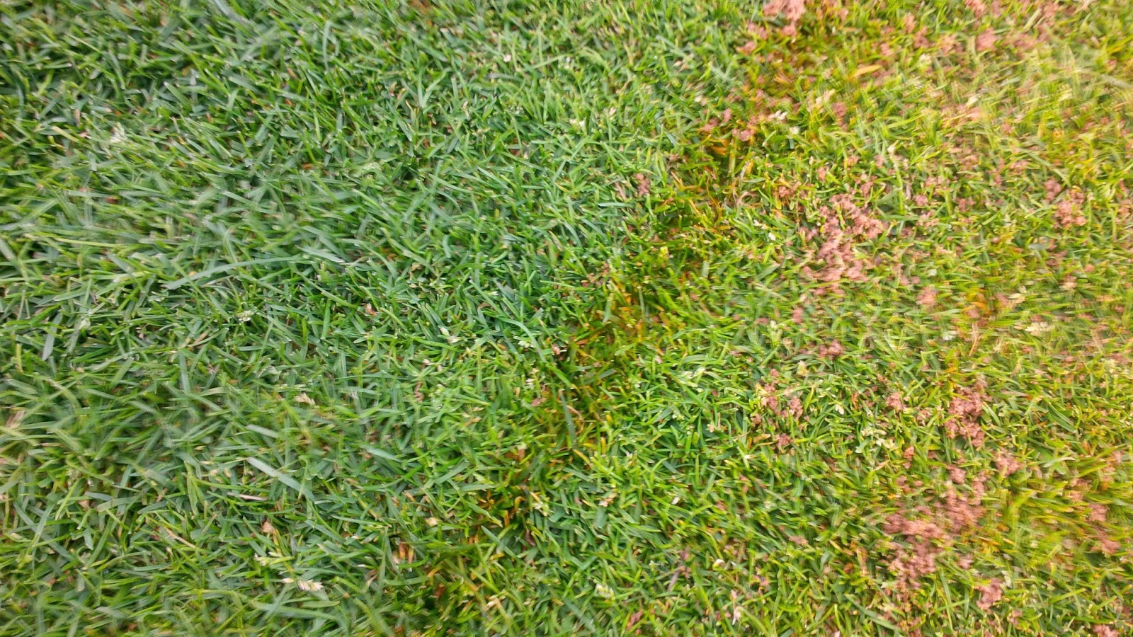 Bobs Shop Hydraulic Leak and Bio Oil