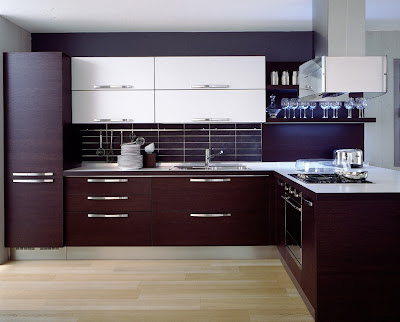 Modern Kitchen Cabinets