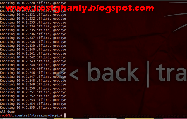 BackTrack 5 R3 ISO 64bit 32 Bit Free Download