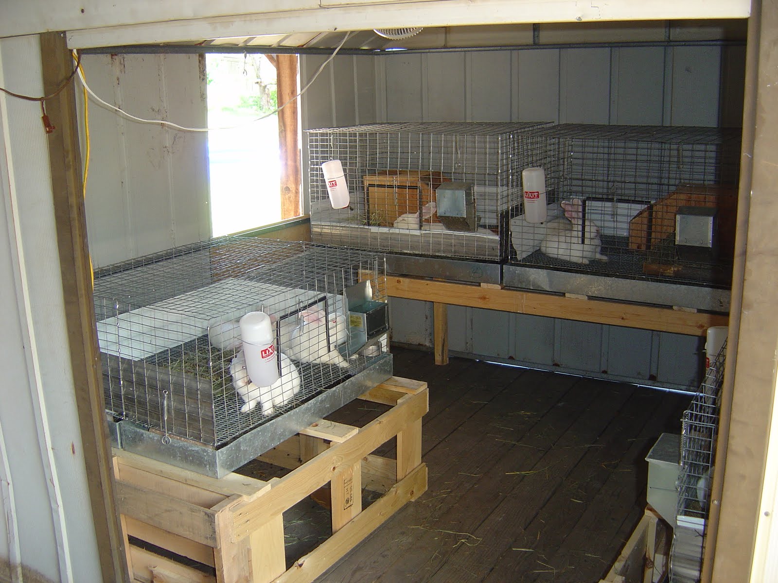 WildernesFamily Meat Rabbit setup and more