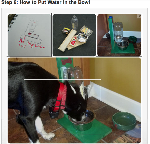 DIY Automatic Water Dispenser Dogs give us their all