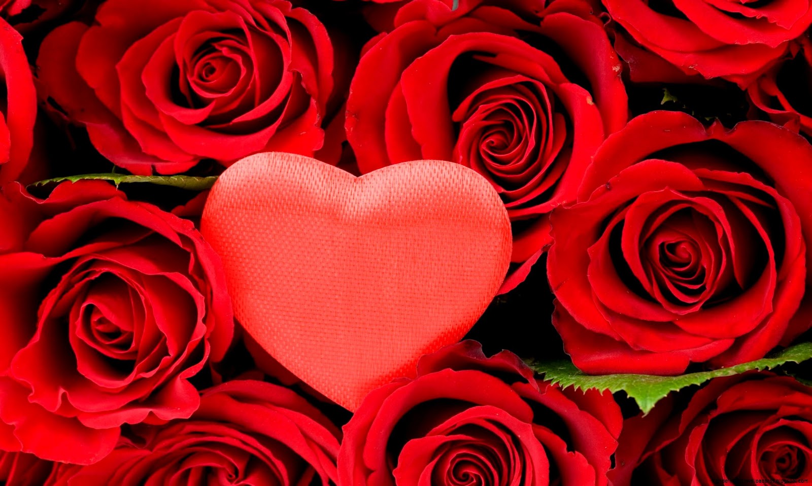 Red Heart with Rose Red Heart with Rose