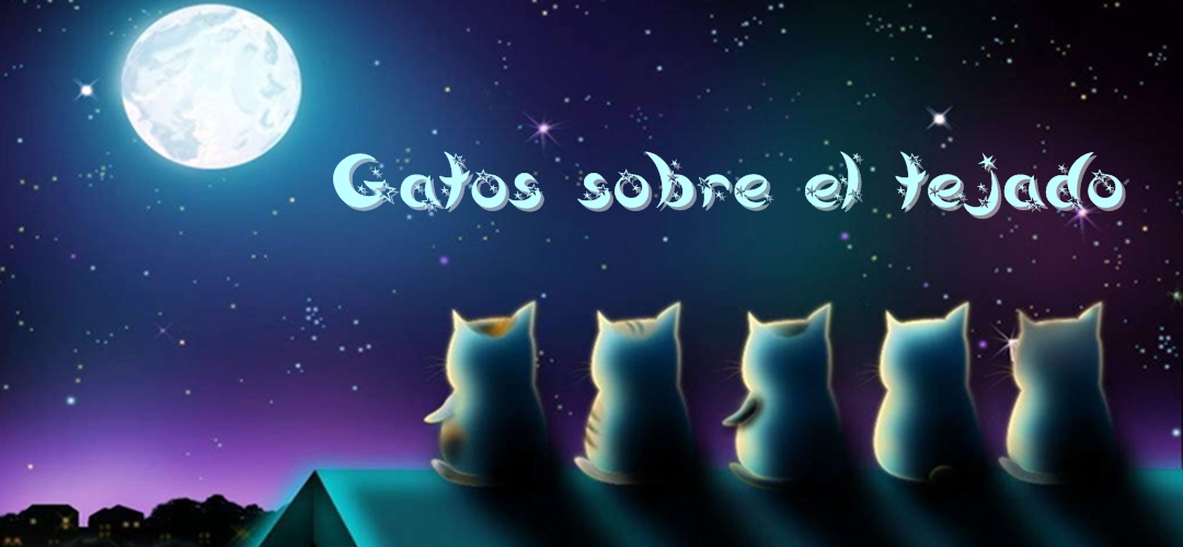 Gatos sobre el tejado