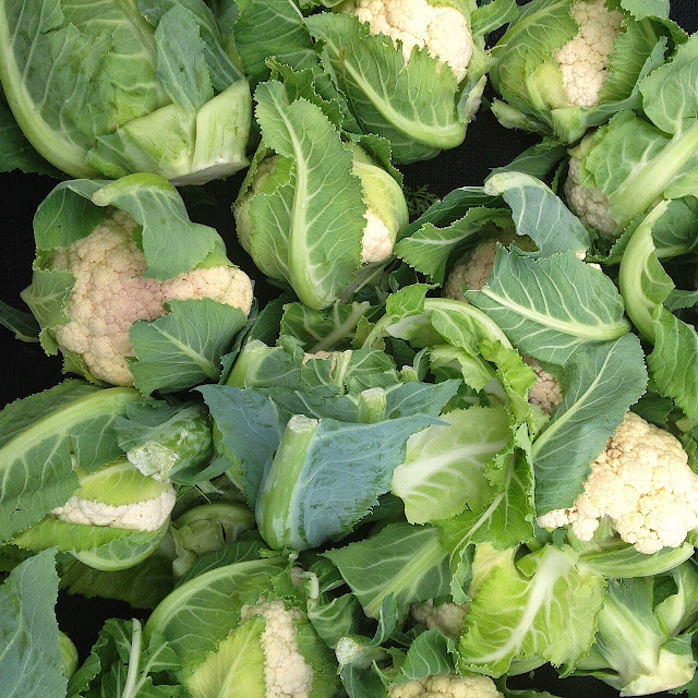 salt & zest Roasted Cauliflower Leaves