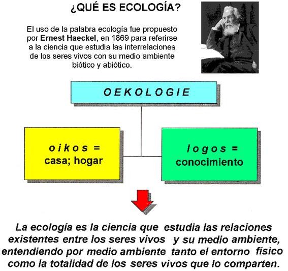 Ecologia significado