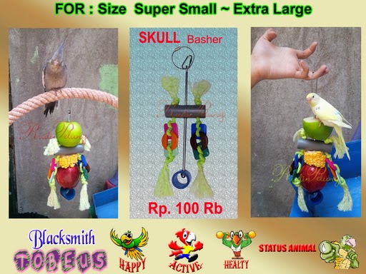 toys mainan burung paruh bengkok toys mainan burung paruh bengkok
