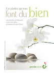 Ces plantes qui nous font du bien