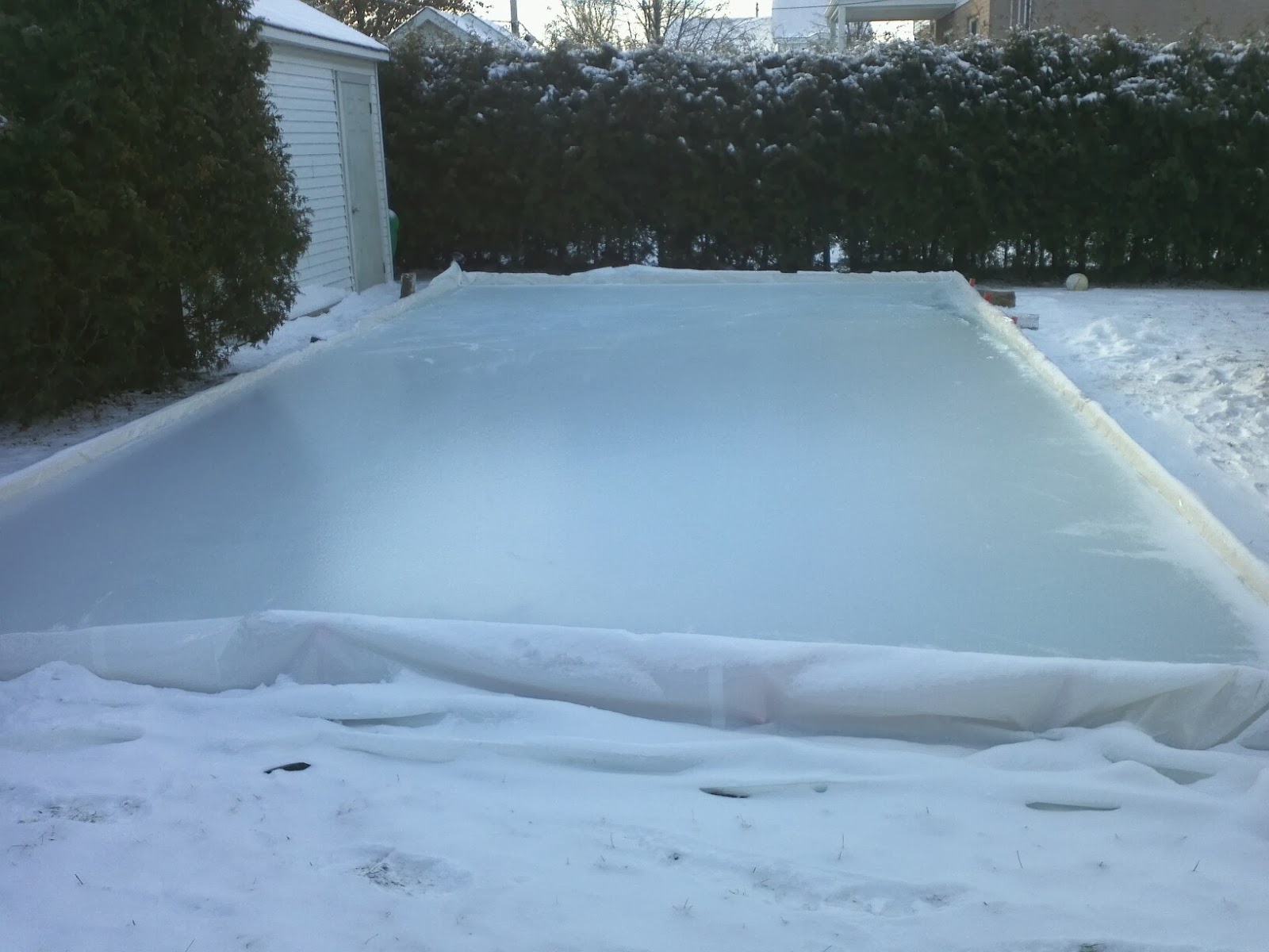Hockey Daily Backyard Ice Rink