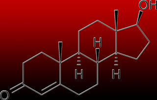 Testosterone Structure