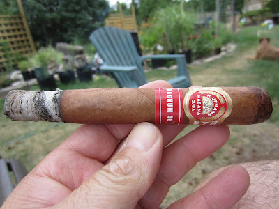 Cigar Cuba chính hiệu!!! Đẳng cấp ông chủ!!!! - 9