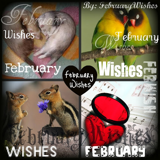February Wishes
