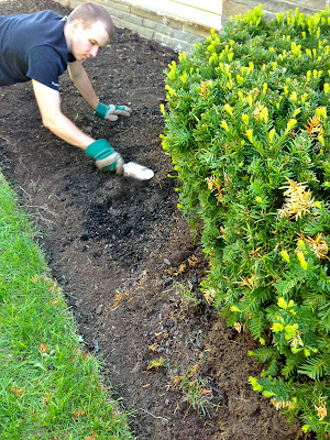 Eclectified Living: How to Edge a Garden Bed