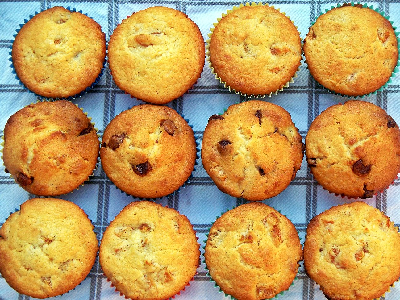 Apricot Muffins 2 ways redhotcentre
