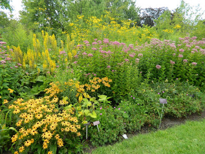 Toronto Botanical Garden late summer perennial border by garden muses-not another Toronto gardening blog