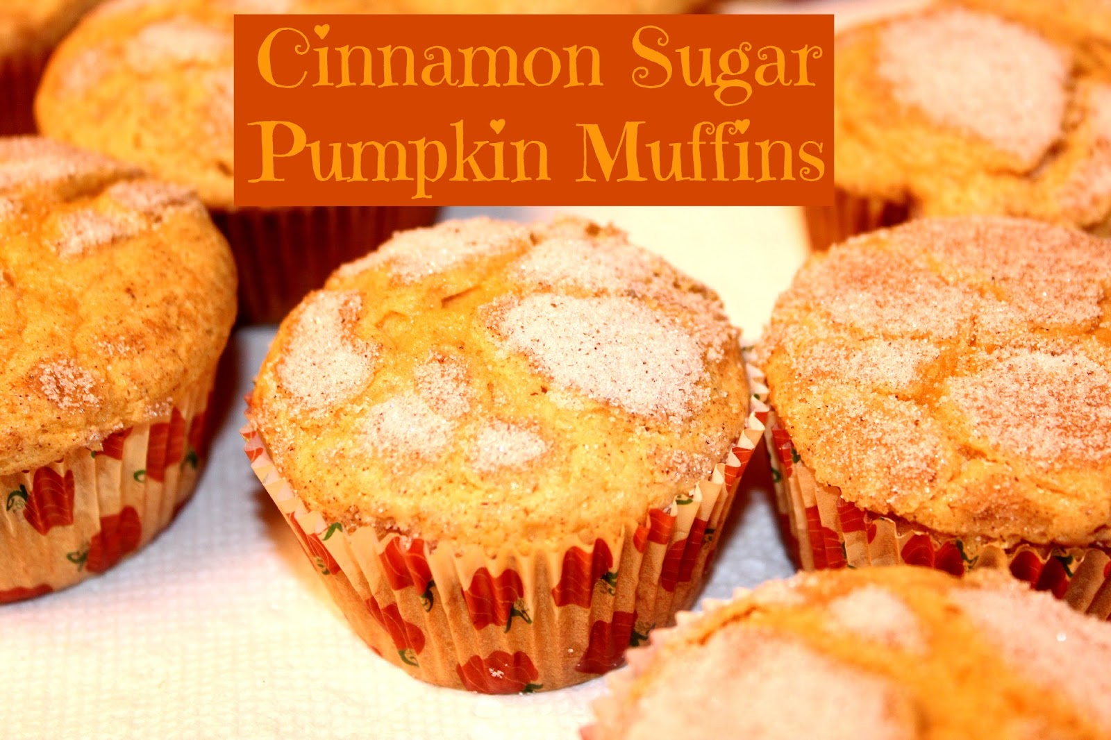 Michelle's Tasty Creations: Cinnamon Sugar Pumpkin Muffins