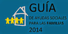 Guía de Ayudas 2014