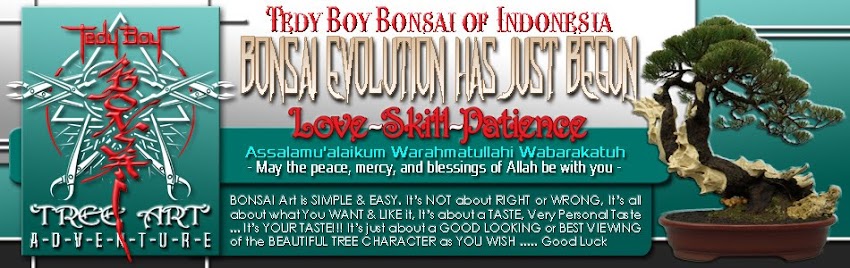 pameran bonsai PPBI jakarta bandung bali medan kontes surabaya indonesia bonsai