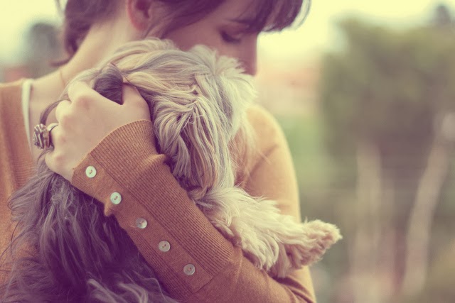 ������ ���� ������ �� ���� ������