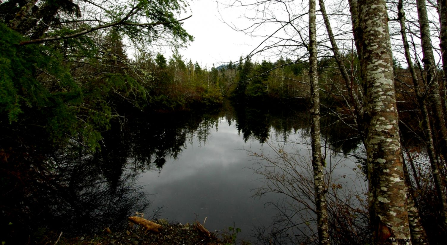 Hd Underwater Desktop Wallpapers  Wallpaper Art Models Hd Underwater Desktop Wallpapers  Wallpaper Art Models